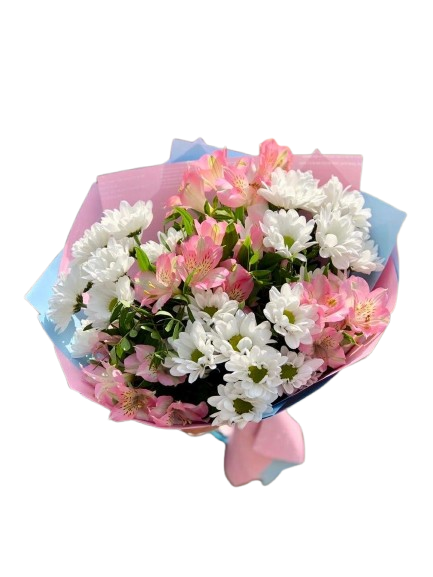 Renacer en Margaritas y Astromelias